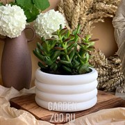 Кашпо Бублик 0,25л гипс - фото 45006