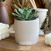 Кашпо Прованс 0,25л гипс - фото 45011
