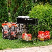 Мангал кованый на ножках с полочкой 860-90 - фото 45063