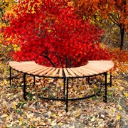 Скамейка полукруглая с деревом 891-56 - фото 45081