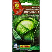 Капуста б/к Трансфер F1 Лидер - фото 45159