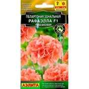 Пеларгония Рафаэлла F1 персиковая - фото 45166