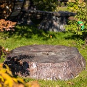 Крышка люка Пень средний полистоун U07698 - фото 45167