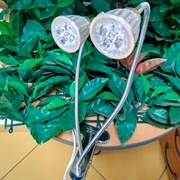 Фитосветильник Фитосинтез 5 + 5 - фото 45263