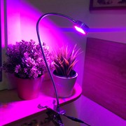 Фитосветильник Шайба на прищепке - фото 45265