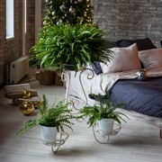 Подставка для растений на 4 цветка Лоза металлическая 14-004-ВG - фото 45296