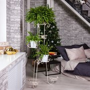 Подставка Лоза 14-006-WG на 6 цветов - фото 45300