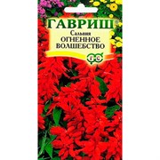 Сальвия Огненное волшебство 0,1гр - фото 45319