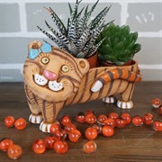 Кашпо Тигряша для кактусов девочка 7*20*6см 0,25л - фото 45468