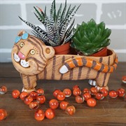 Кашпо Тигряша для кактусов девочка 7*20*6см 0,25л - фото 45469