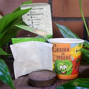 Набор Сказки на грядке огурец Емеля 3шт - фото 45535