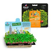 Набор для выращивания Микрозелень индау 2г - фото 45542