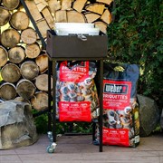 Гриль угольный металлический на колесиках 861-62 - фото 45600