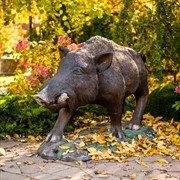 Садовая фигура Кабан - фото 45845