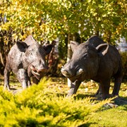 Садовая фигура Кабан - фото 45992