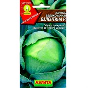 Капуста б/к Валентина F1 - фото 46305
