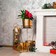 Подставка напольная Классика на 1 цветок кованая высота 62см 10-201 - фото 46388