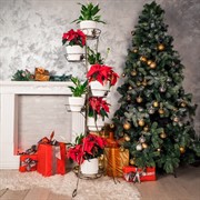 Стойка напольная для цветов Декор на 7 цветов металл высота 161см 19-007 - фото 46405