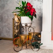 Подставка напольная Лоза на 1 цветок 38см кованая 11-111 - фото 46421