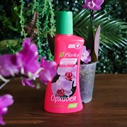 Удобрение Флорика для орхидей 0,3л (20) - фото 46514 Удобрение Флорика для орхидей 0,3л (20) - фото 46514