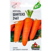 Морковь Шантенэ 2461 1,5г ХИТ - фото 46703