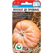 Тыква Мускат де Прованс 5 шт - фото 46880