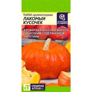 Тыква Лакомый кусочек 1гр - фото 46901