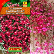 Лобелия Каскадная пурпурно-красная - фото 46958