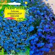 Лобелия Император Вилли 0,01гр - фото 47020