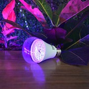 Лампа для растений ФИТО 10Вт - фото 47147