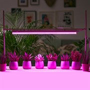 Светильник для растений ФИТО 9Вт длина 65 см - фото 47152