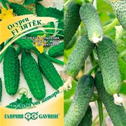 Огурец Зятек F1 скороспелый партенокарпический гибрид 10шт - фото 47256 Огурец Зятек F1 скороспелый партенокарпический гибрид 10шт - фото 47256