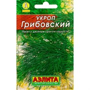 Укроп Грибовский Лидер - фото 47349