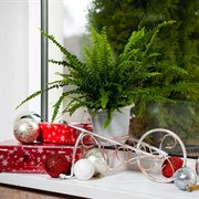 Подставка Тачка на 1 цветок металлическая диаметр 10см 95-039 - фото 47506