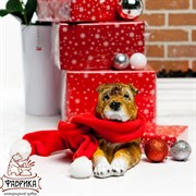 Фигура Шарпей - фото 4803