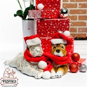 Фигура Шарпей - фото 4804