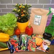 Набор семян Премиум класса - фото 48169