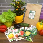 Набор семян Золотая коллекция Партнера - фото 48175