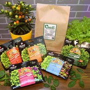 Набор семян Комплекс микрозелень - фото 48179