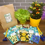 Набор семян Лекарственный огород - фото 48181