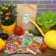 Набор семян Огород на подоконнике - фото 48185