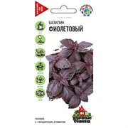 Базилик Фиолетовый 0,3г ХИТ - фото 48272