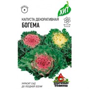 Капуста Декоративная Богема 0,1гр ХИТ - фото 48289