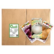 Набор семян лука репчатого Кармен МС 1г, Халцедон 1г, Серебряная луна 1г - фото 48345