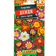 Георгина Денди - фото 48365