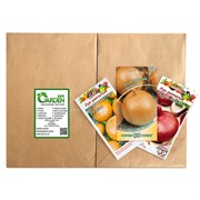 Набор семян лука репчатого Задира 1г, Штуттгартер Ризен 1г, Ред Барон 1г - фото 48367