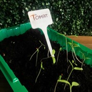 Ярлык Листок Т-формы 12,5см 10шт - фото 48425