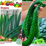 Огурец Пекинский деликатес 10шт - фото 48434 Огурец Пекинский деликатес 10шт - фото 48434