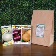 Набор семян лука репчатого Кармен МС 1г, Халцедон 1г, Серебряная луна 1г - фото 48443