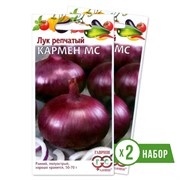 Набор семян лука репчатого Кармен МС 1г х 2 - фото 48445